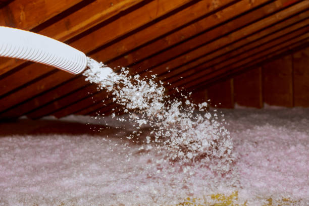  Lester Prairie, MN Insulation Contractor Pros
