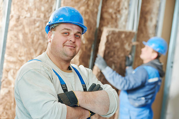 Insulation Replacement Services in Lester Prairie, MN
